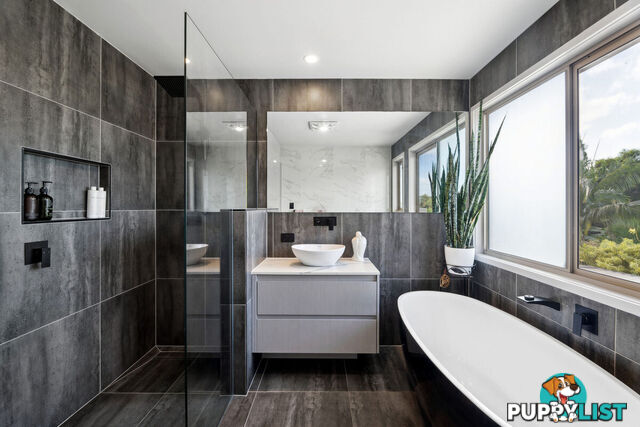 19 Padauk Drive NERANG QLD 4211