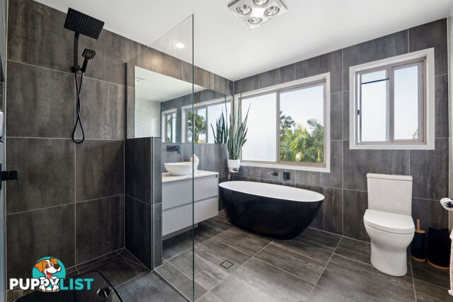 19 Padauk Drive NERANG QLD 4211