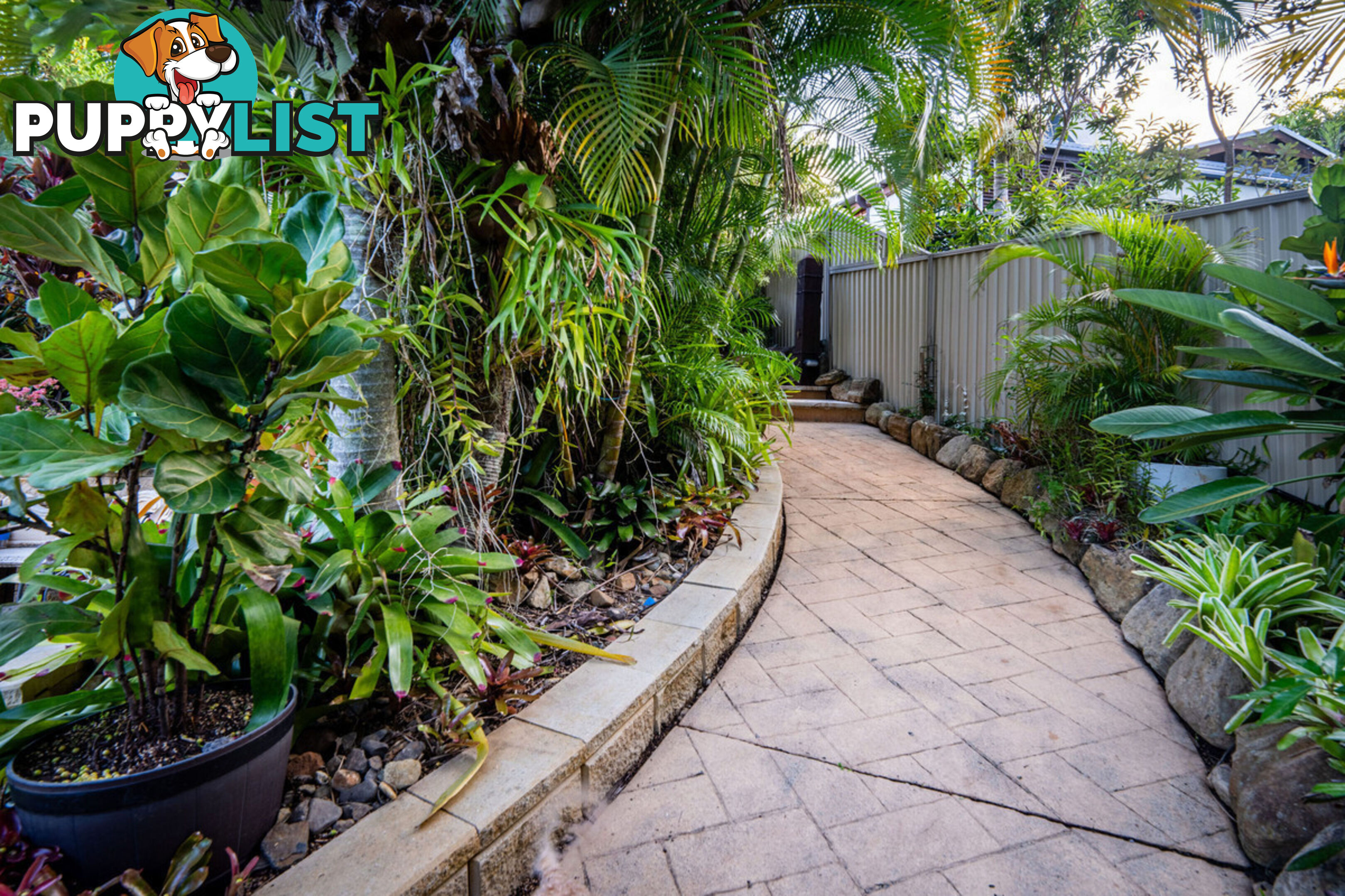 19 Padauk Drive NERANG QLD 4211