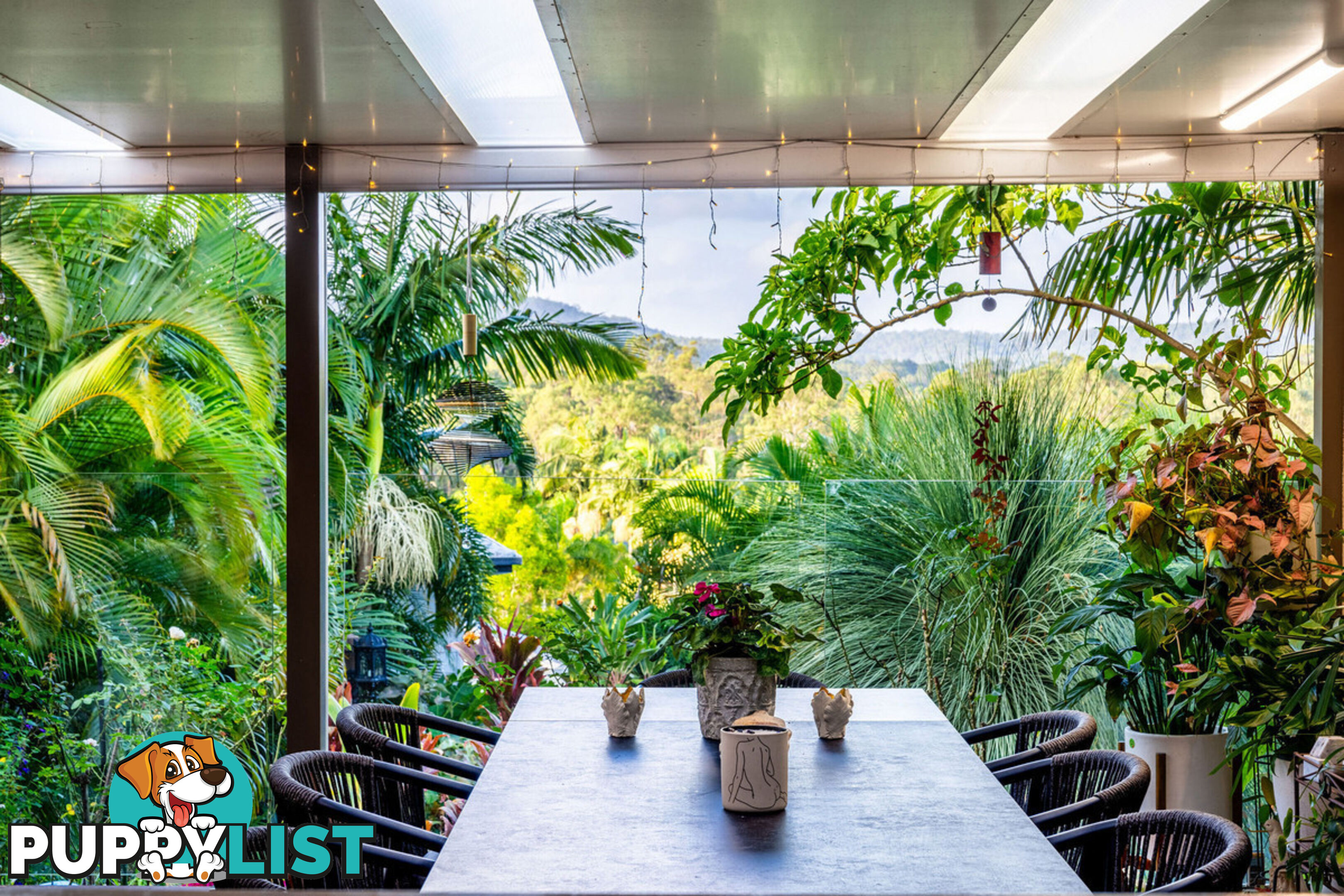 19 Padauk Drive NERANG QLD 4211