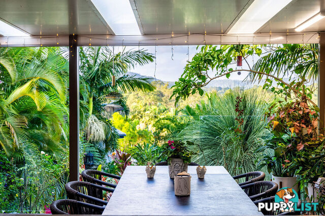 19 Padauk Drive NERANG QLD 4211