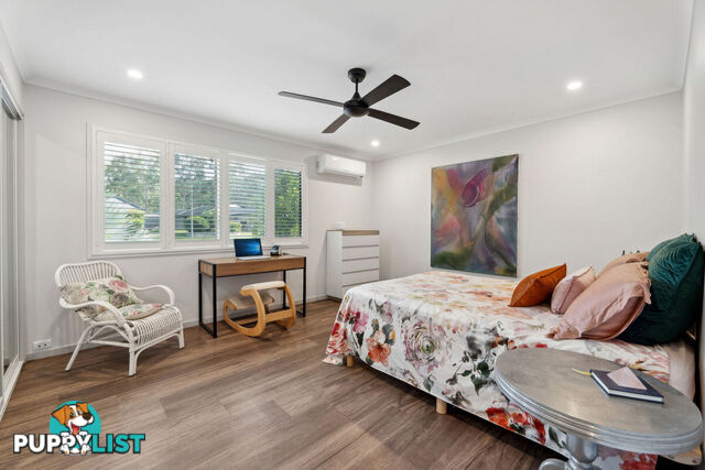 19 Padauk Drive NERANG QLD 4211