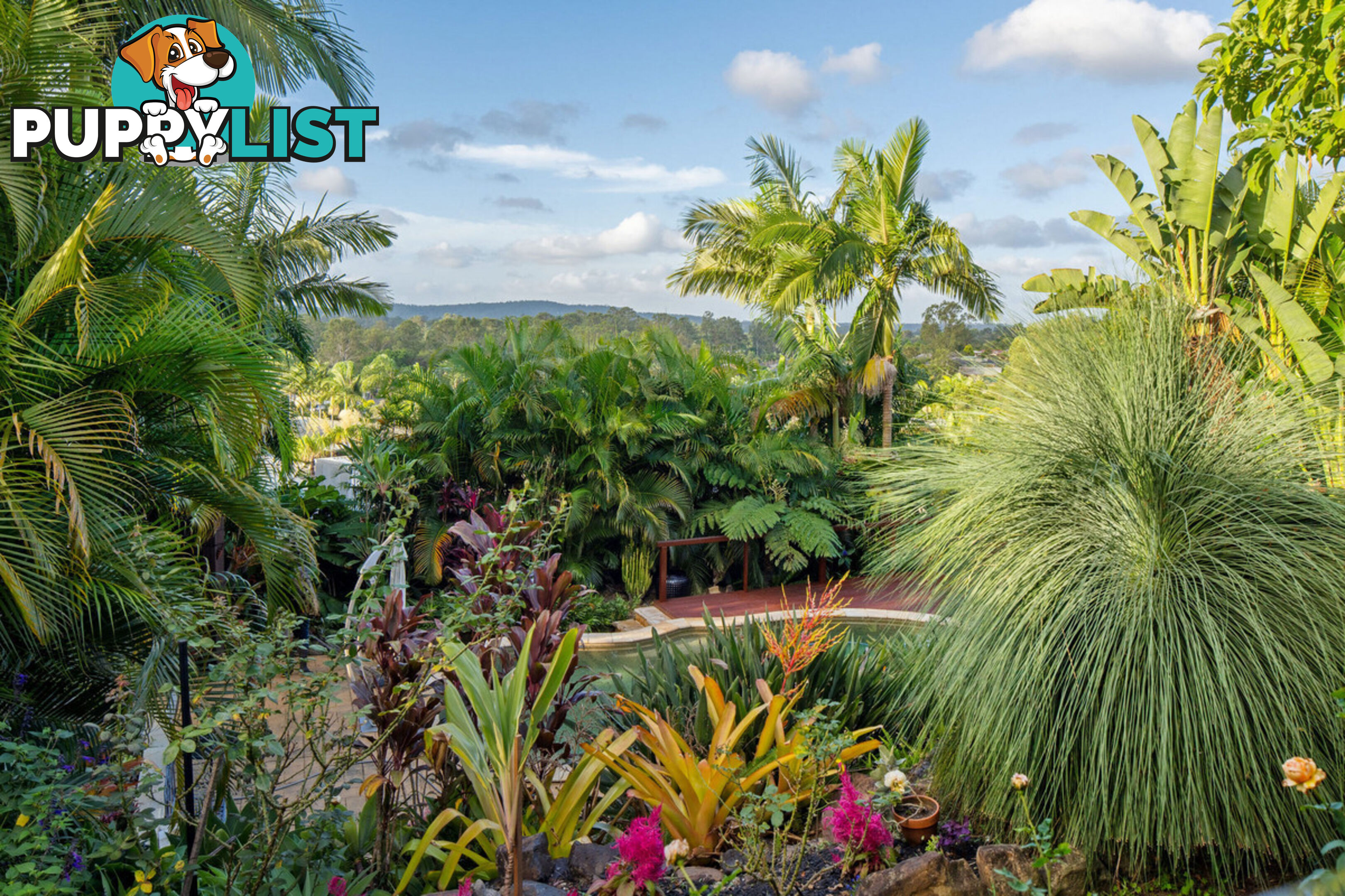 19 Padauk Drive NERANG QLD 4211