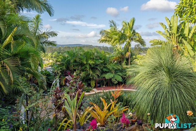 19 Padauk Drive NERANG QLD 4211