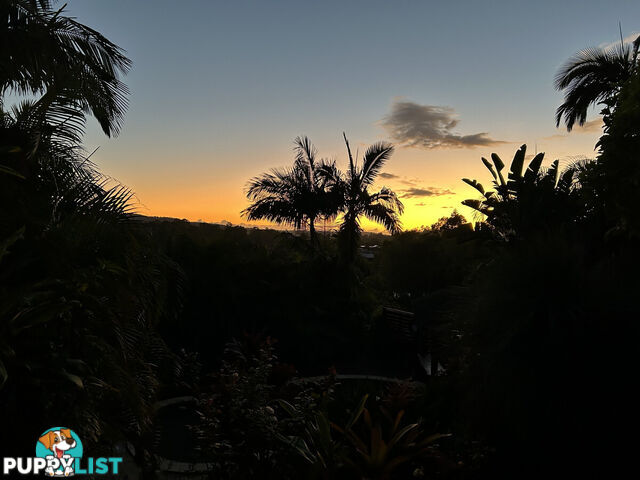 19 Padauk Drive NERANG QLD 4211