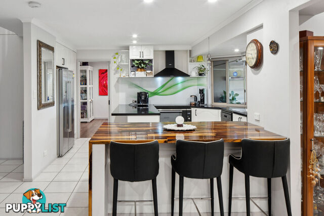 19 Padauk Drive NERANG QLD 4211