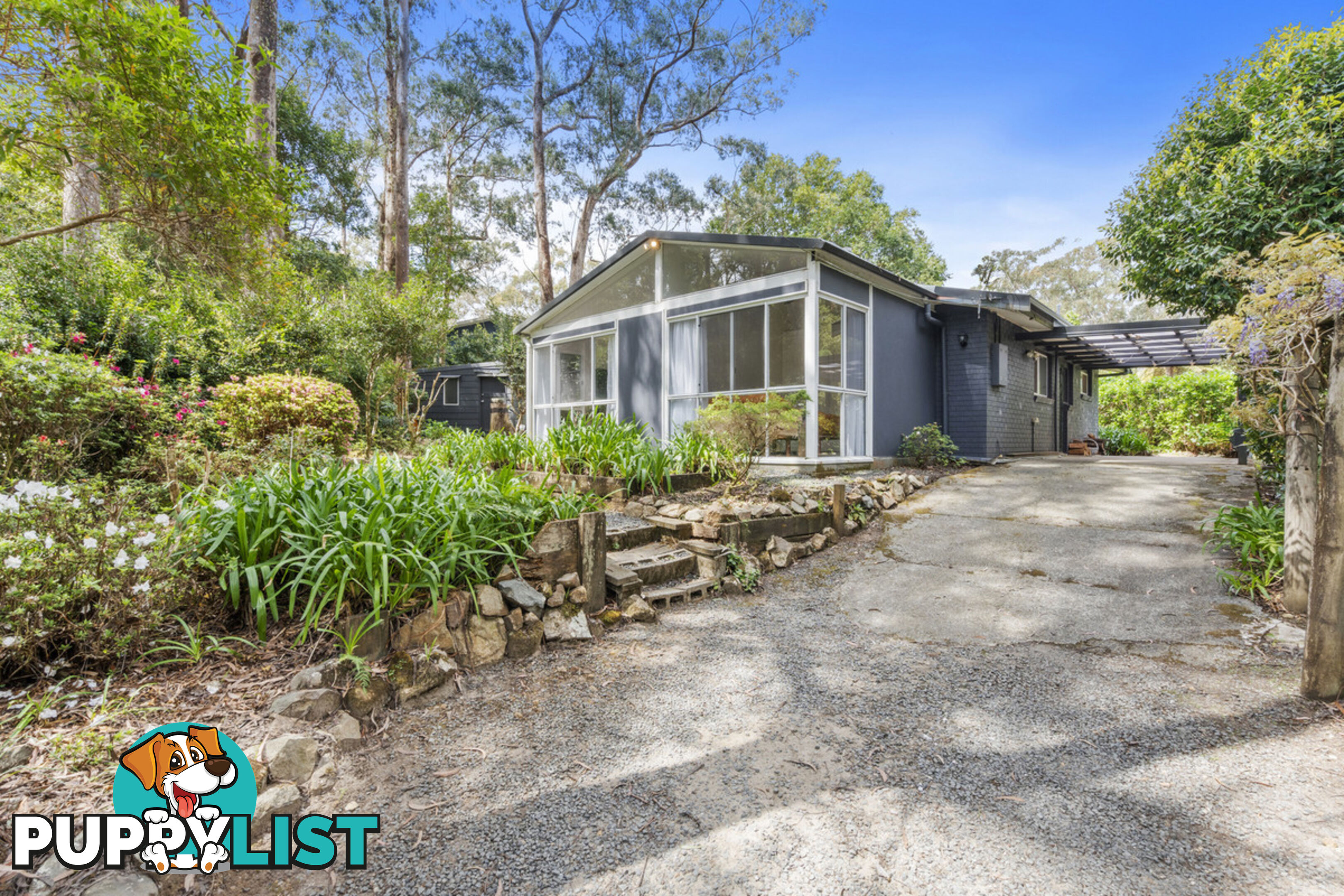 15 Banksia Road SPRINGBROOK QLD 4213