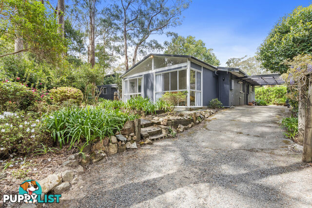 15 Banksia Road SPRINGBROOK QLD 4213