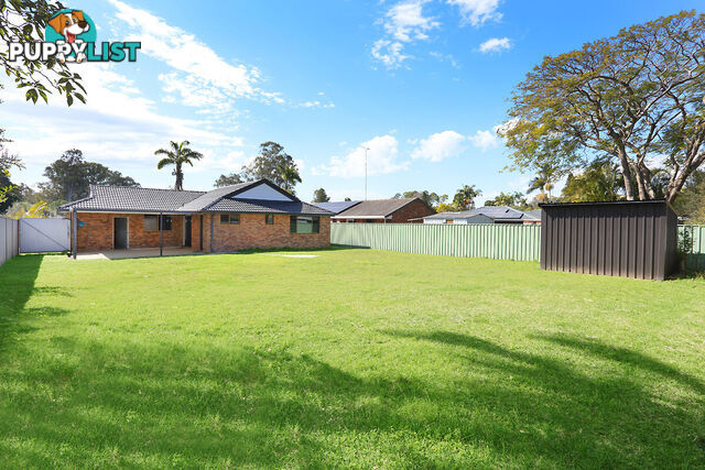 11 Dugandan Street NERANG QLD 4211