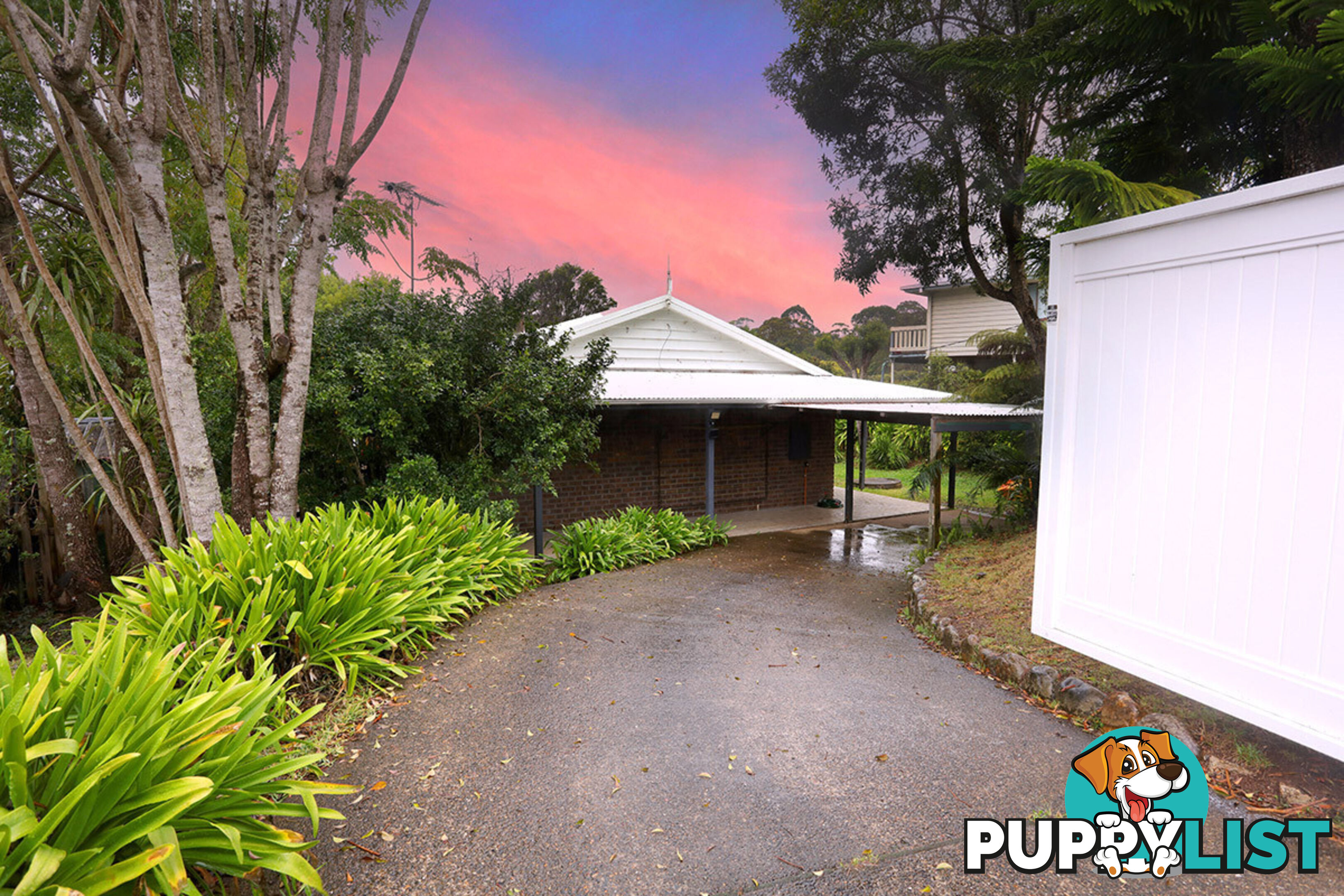 11 Forestry Road SPRINGBROOK QLD 4213