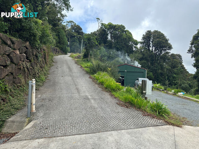 263 Repeater Station Road SPRINGBROOK QLD 4213