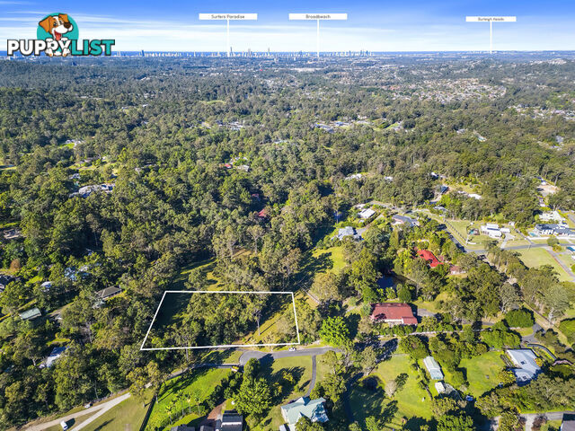 NERANG QLD 4211