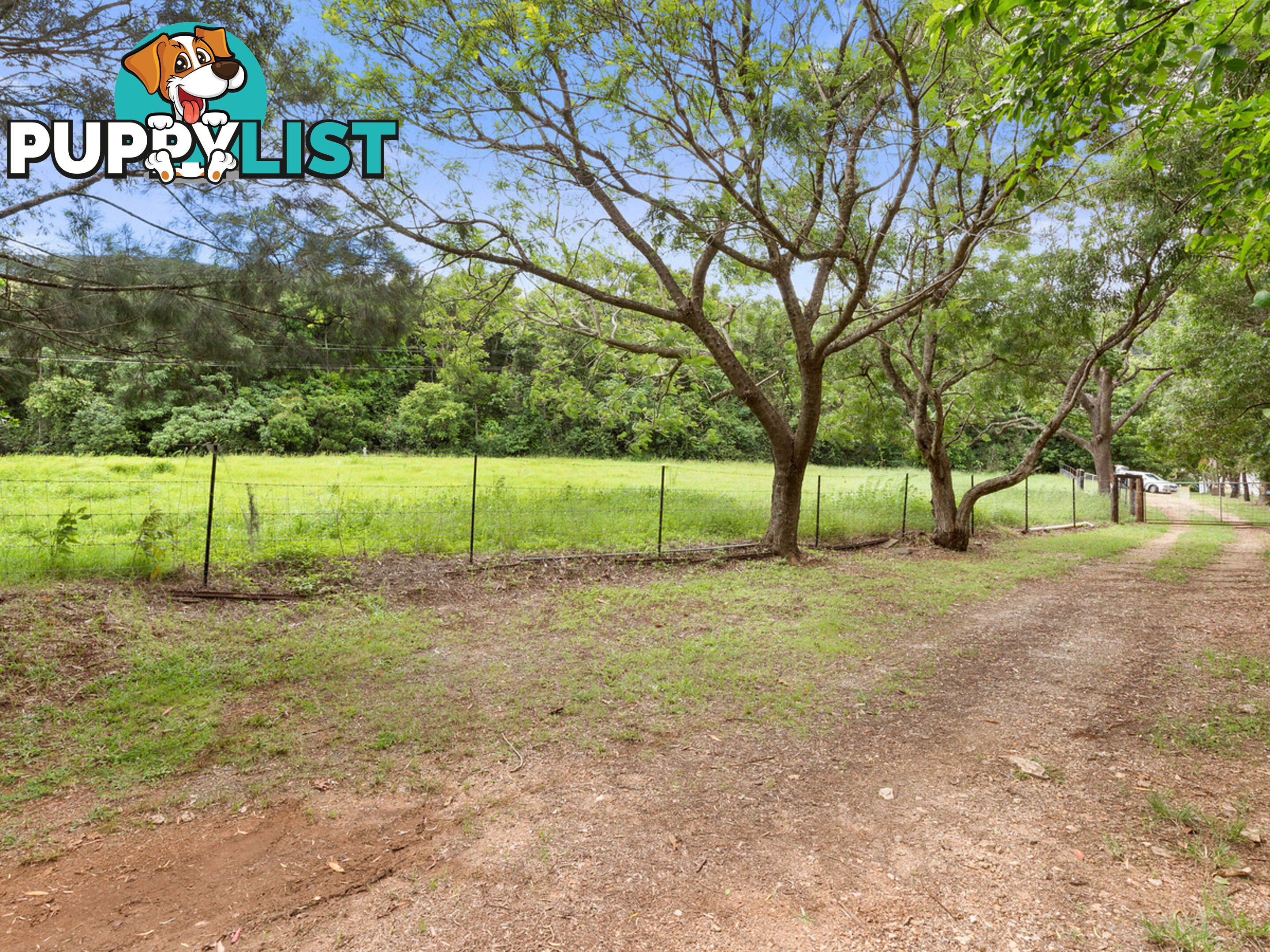 3135 Nerang-Murwillumbah Road NATURAL BRIDGE QLD 4211