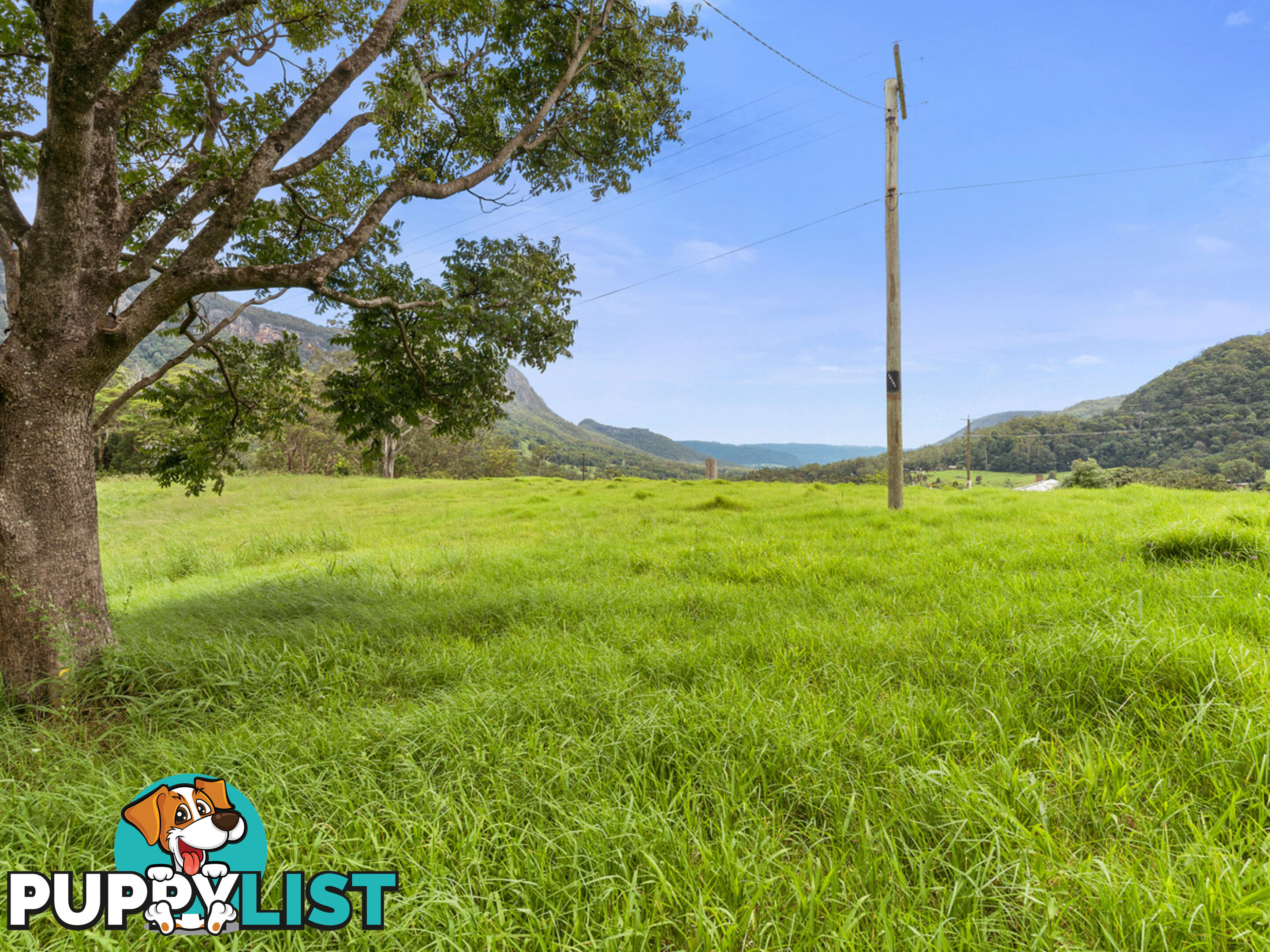 3135 Nerang-Murwillumbah Road NATURAL BRIDGE QLD 4211