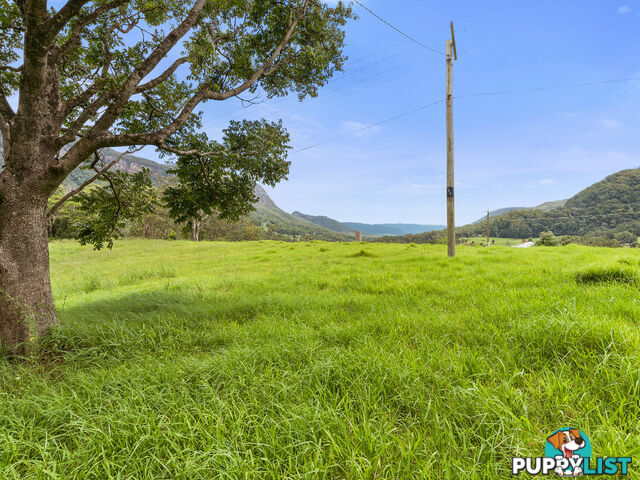 3135 Nerang-Murwillumbah Road NATURAL BRIDGE QLD 4211