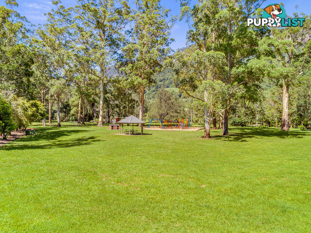 3135 Nerang-Murwillumbah Road NATURAL BRIDGE QLD 4211