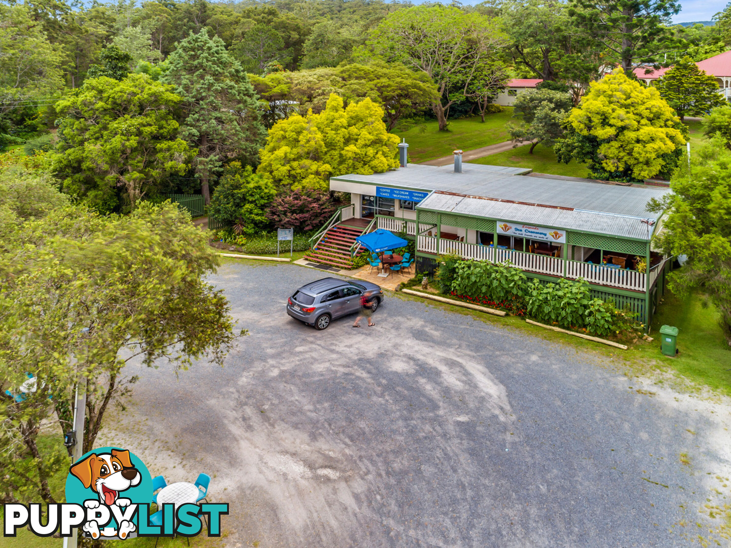 3135 Nerang-Murwillumbah Road NATURAL BRIDGE QLD 4211