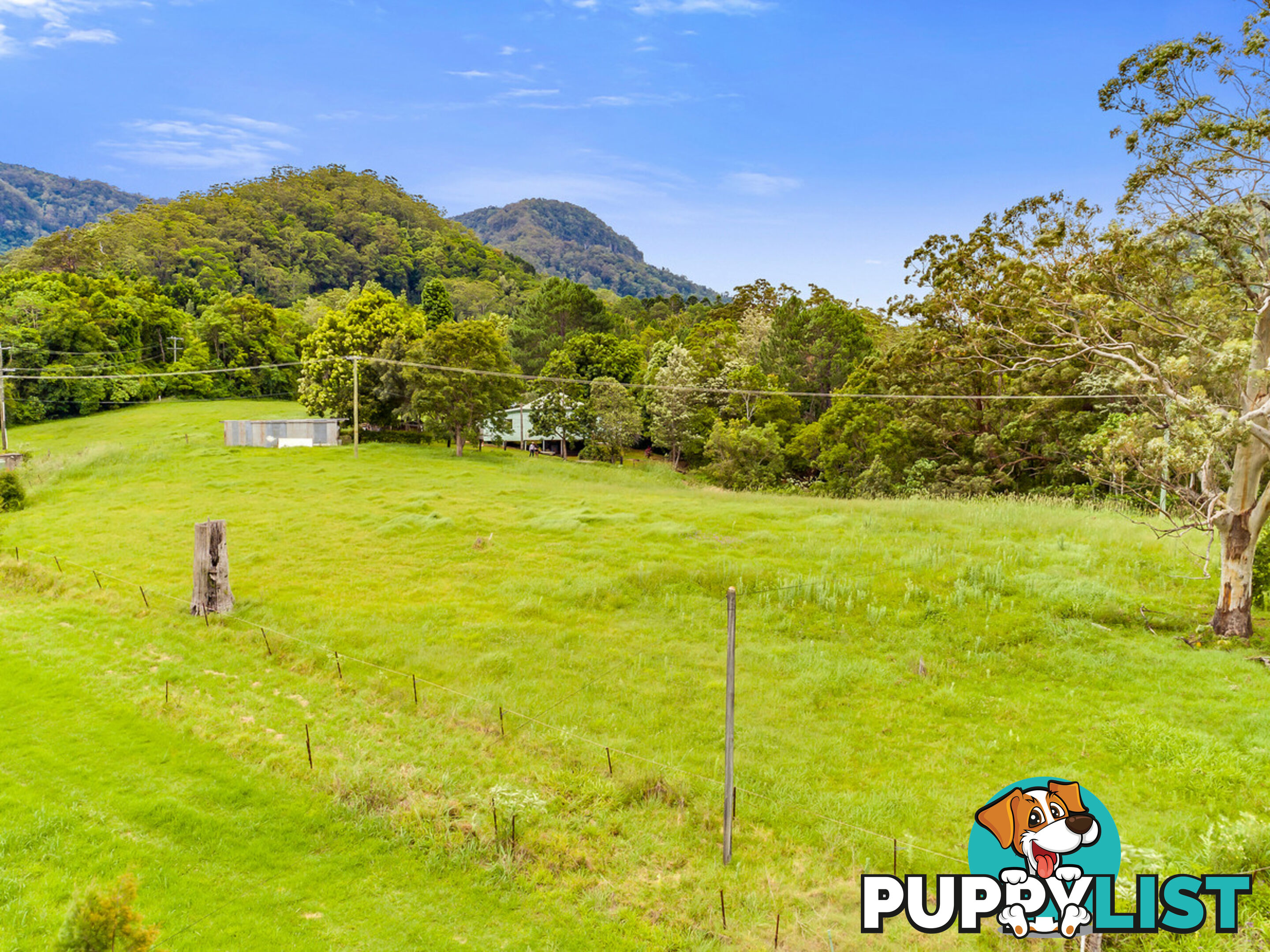 3135 Nerang-Murwillumbah Road NATURAL BRIDGE QLD 4211