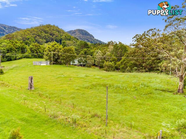 3135 Nerang-Murwillumbah Road NATURAL BRIDGE QLD 4211