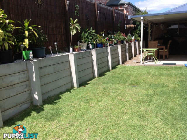 35 Orlando Drive COOMERA QLD 4209