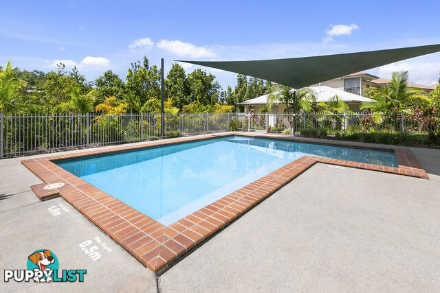 31/30 Carmarthen Circuit PACIFIC PINES QLD 4211