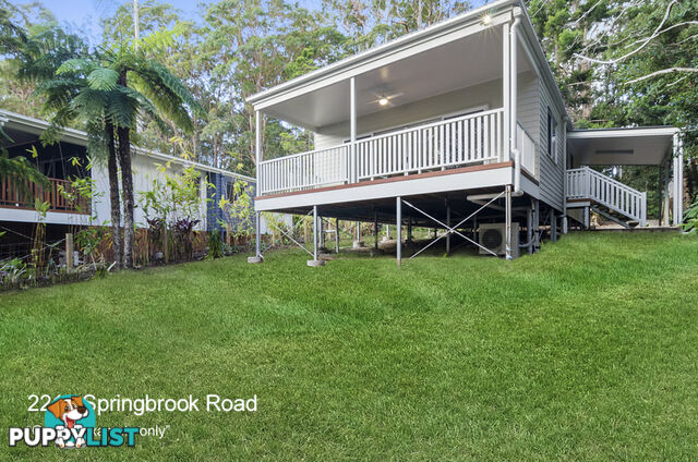 2218 Springbrook Road SPRINGBROOK QLD 4213