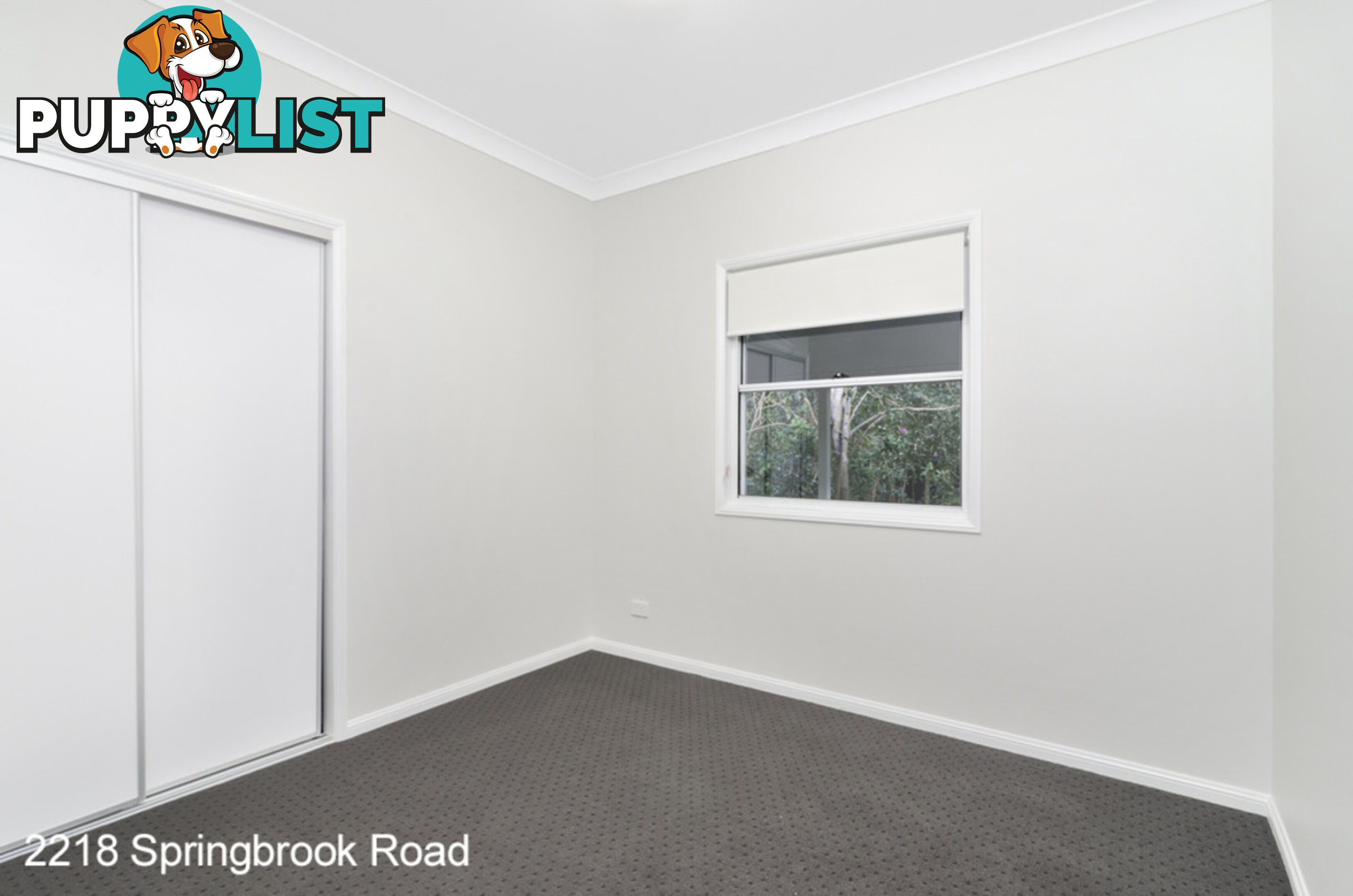 2218 Springbrook Road SPRINGBROOK QLD 4213