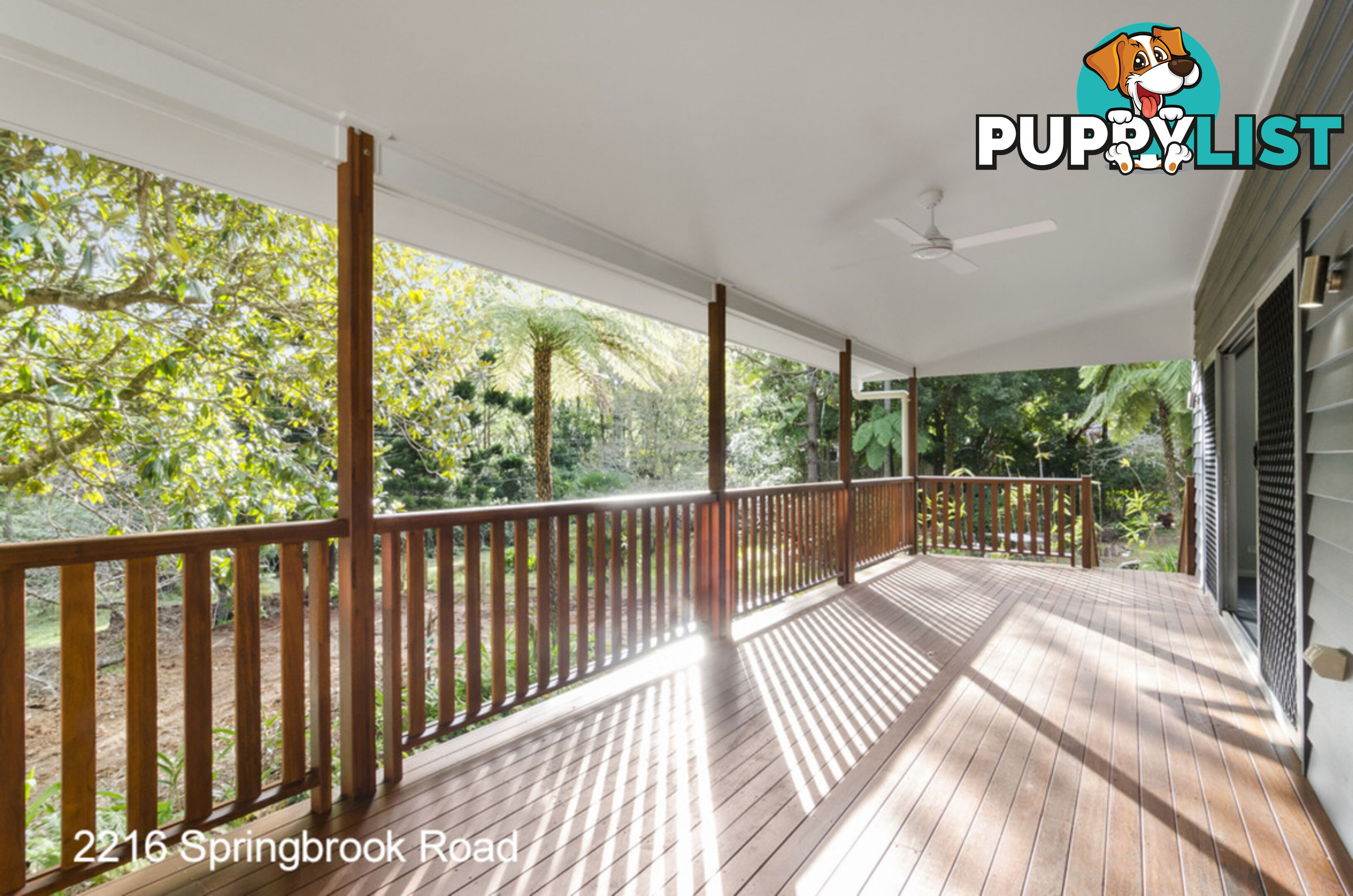 2218 Springbrook Road SPRINGBROOK QLD 4213