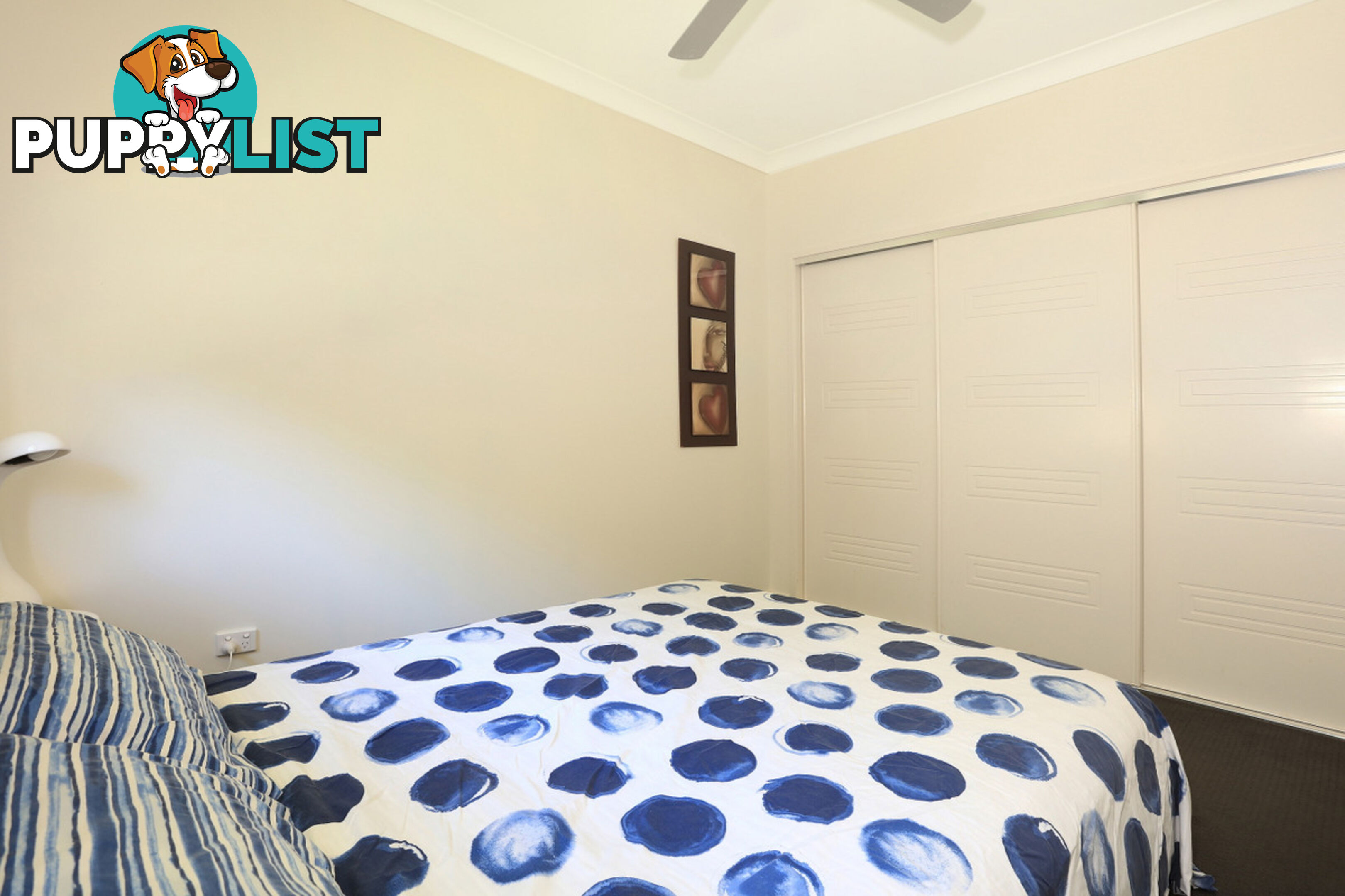 17 Pasture Place MOUNT NATHAN QLD 4211