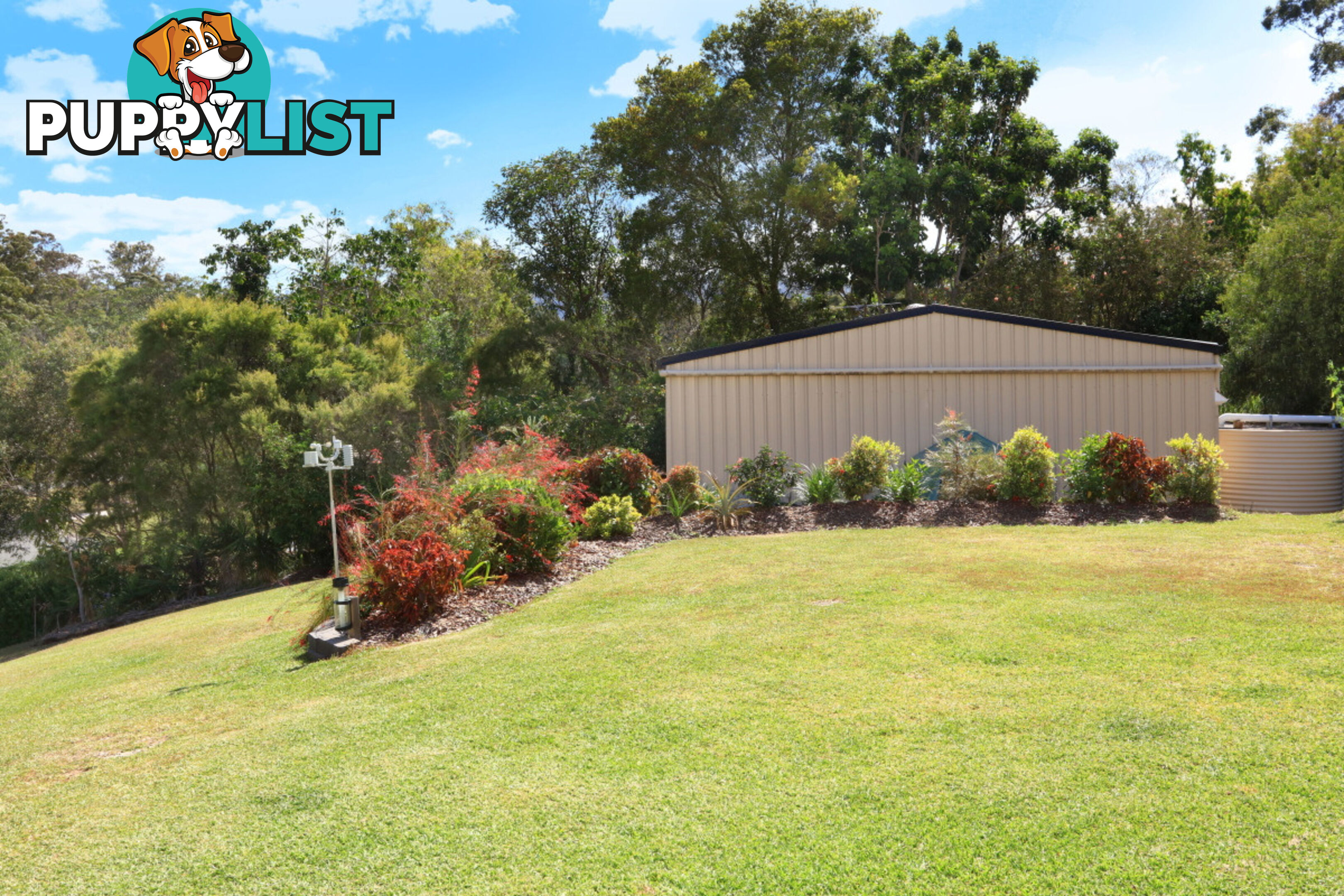 17 Pasture Place MOUNT NATHAN QLD 4211