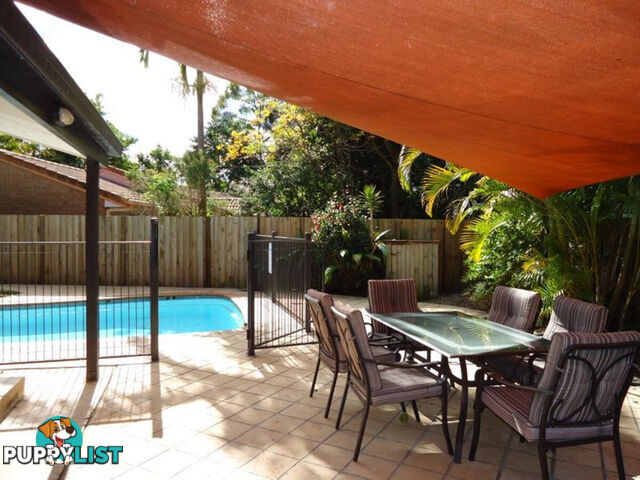 56a Koola Drive NERANG QLD 4211