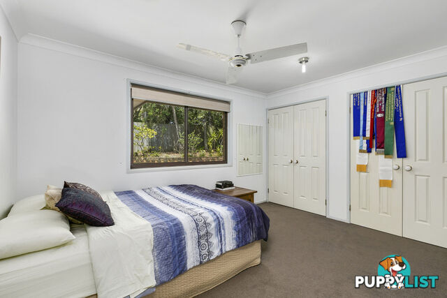 16 Narrabundah Street Mudgeeraba QLD 4213