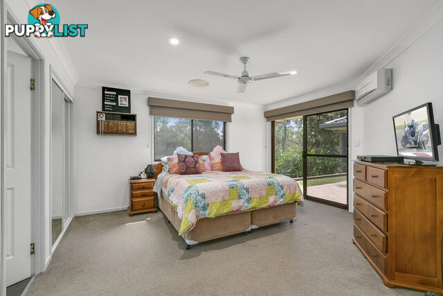 16 Narrabundah Street Mudgeeraba QLD 4213