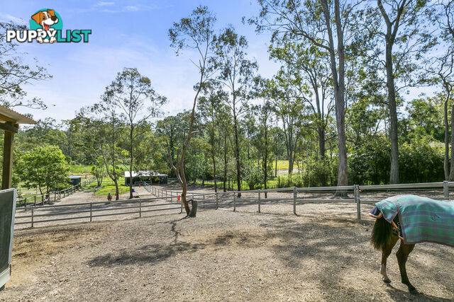 16 Narrabundah Street Mudgeeraba QLD 4213