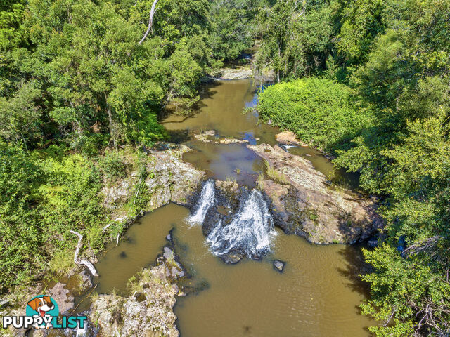 62 Velvet Downs Road SPRINGBROOK QLD 4213