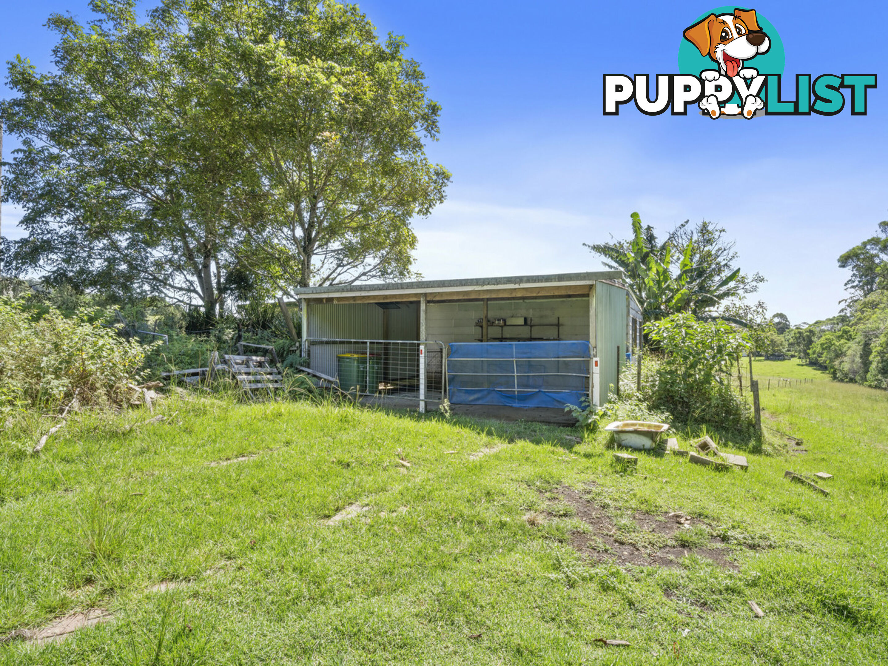 62 Velvet Downs Road SPRINGBROOK QLD 4213