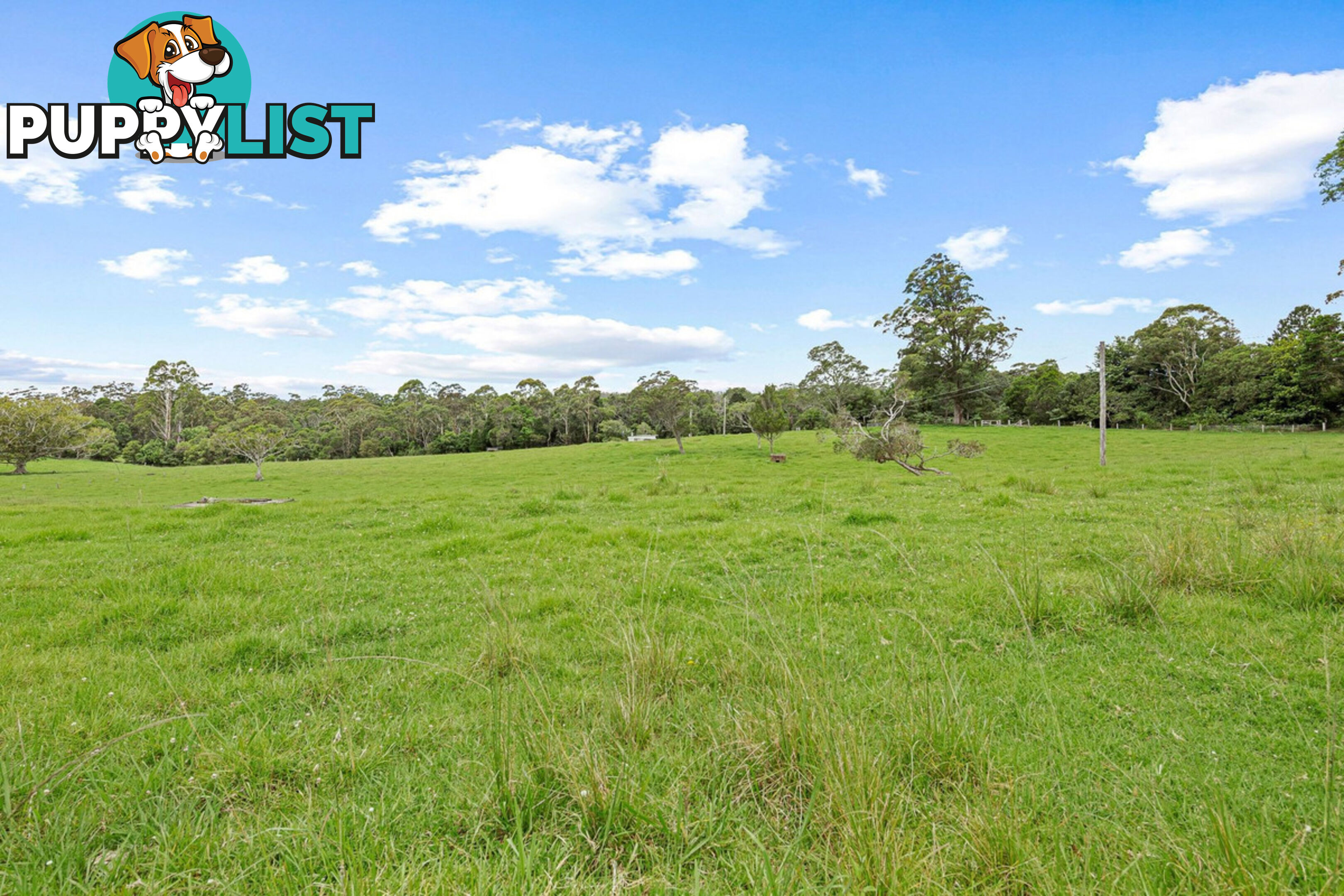 62 Velvet Downs Road SPRINGBROOK QLD 4213