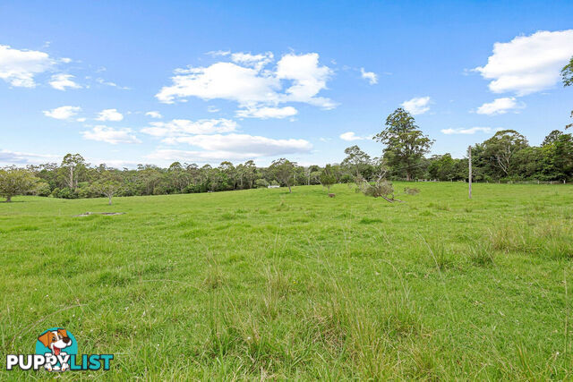 62 Velvet Downs Road SPRINGBROOK QLD 4213