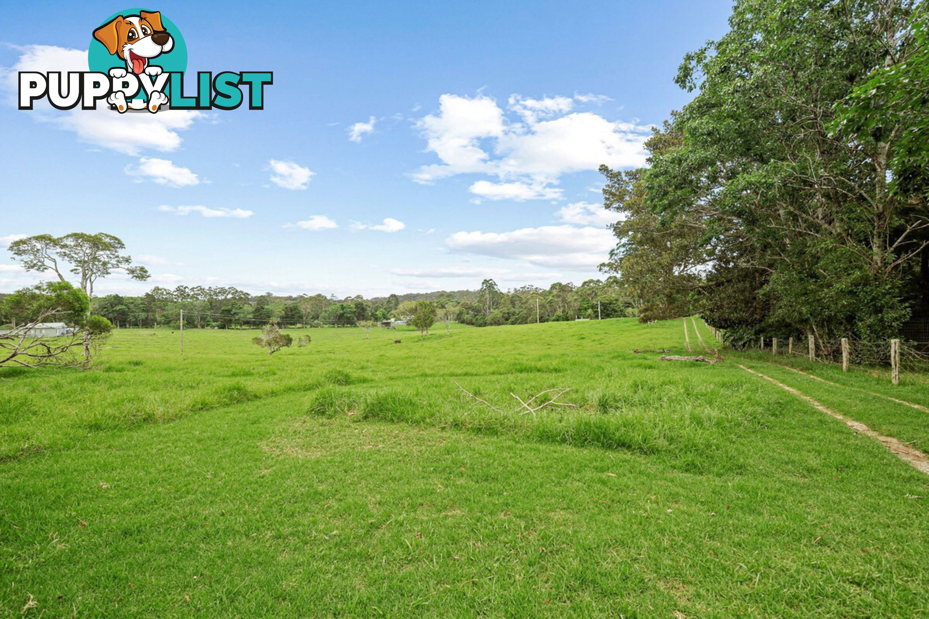 62 Velvet Downs Road SPRINGBROOK QLD 4213