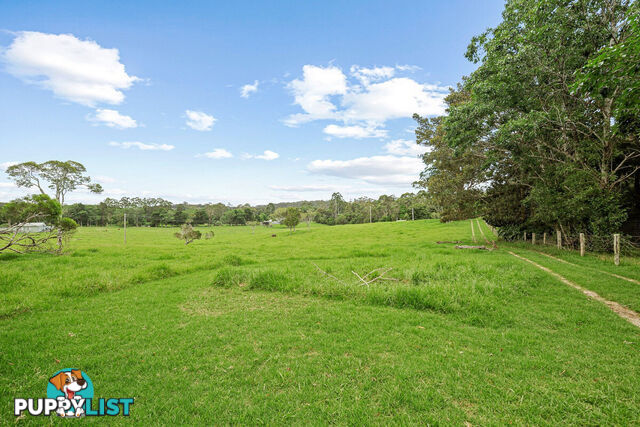 62 Velvet Downs Road SPRINGBROOK QLD 4213