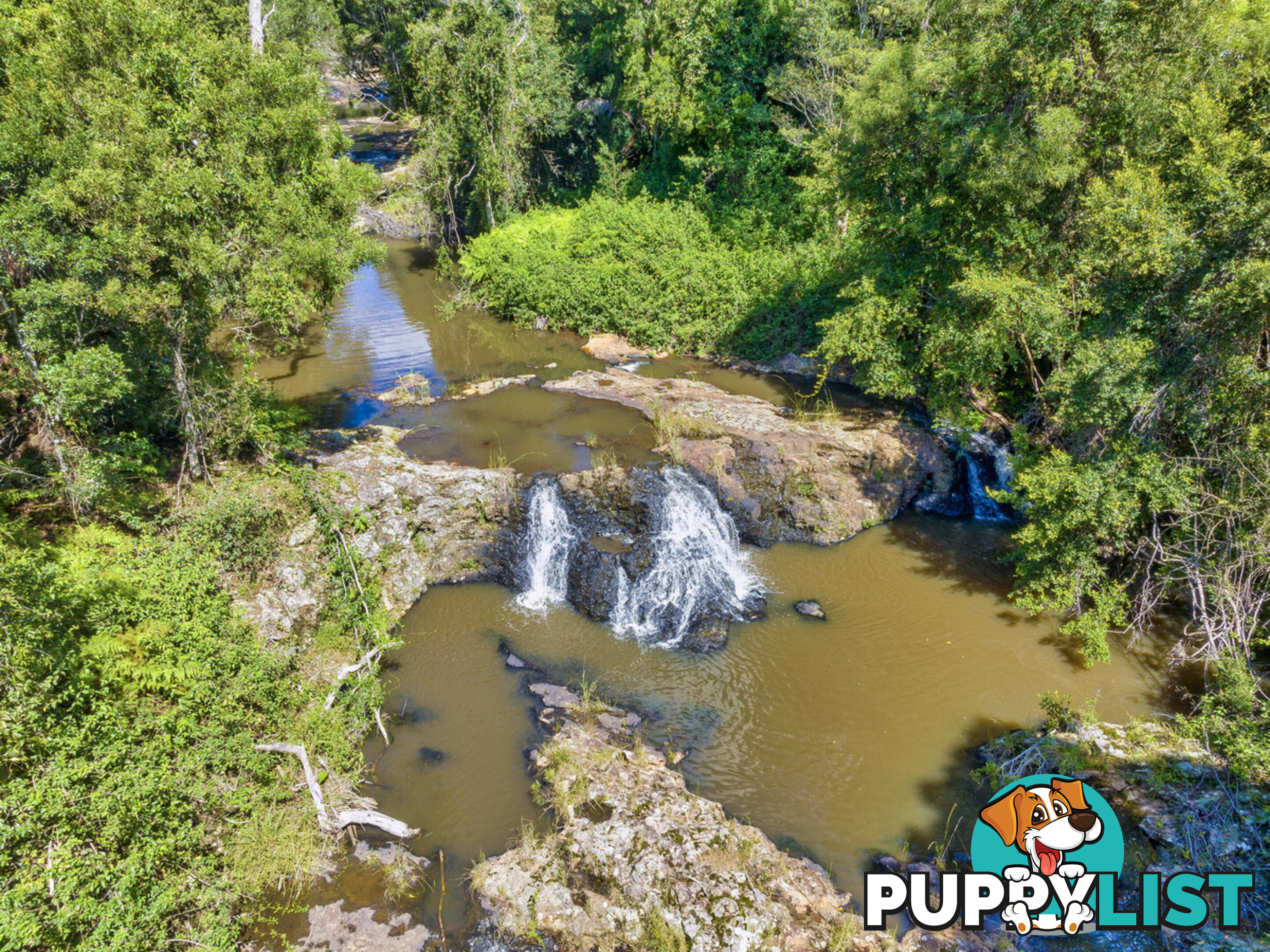 62 Velvet Downs Road SPRINGBROOK QLD 4213