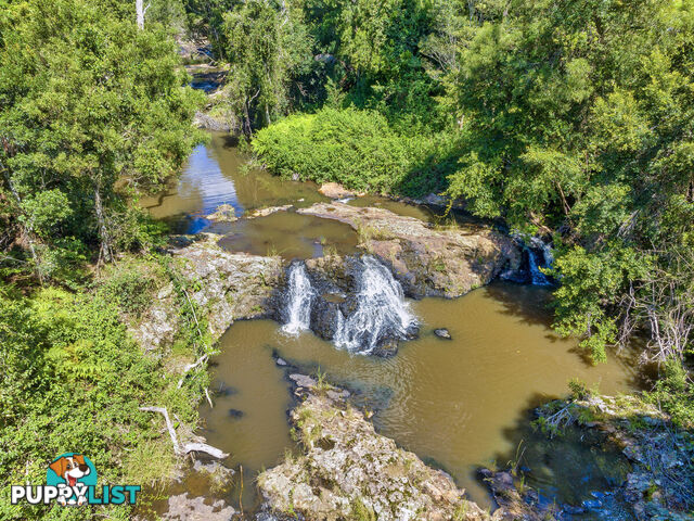 62 Velvet Downs Road SPRINGBROOK QLD 4213