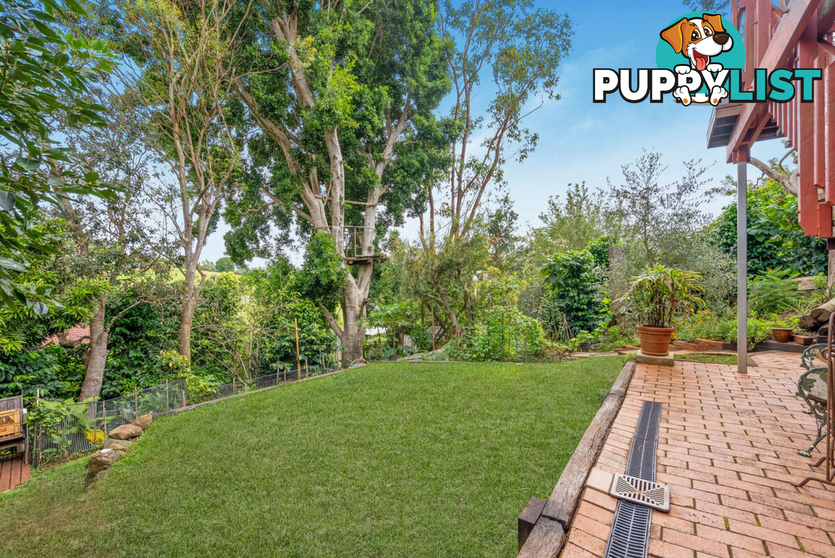 14 Cypress Court BEECHMONT QLD 4211