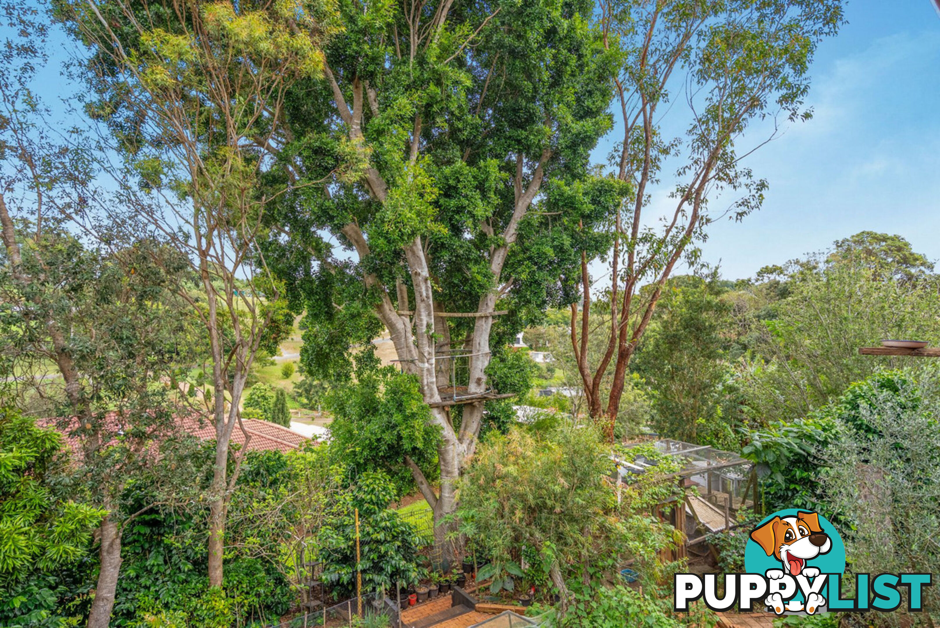 14 Cypress Court BEECHMONT QLD 4211