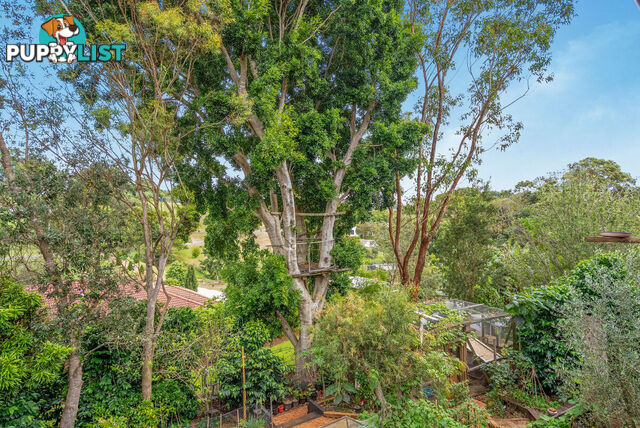 14 Cypress Court BEECHMONT QLD 4211