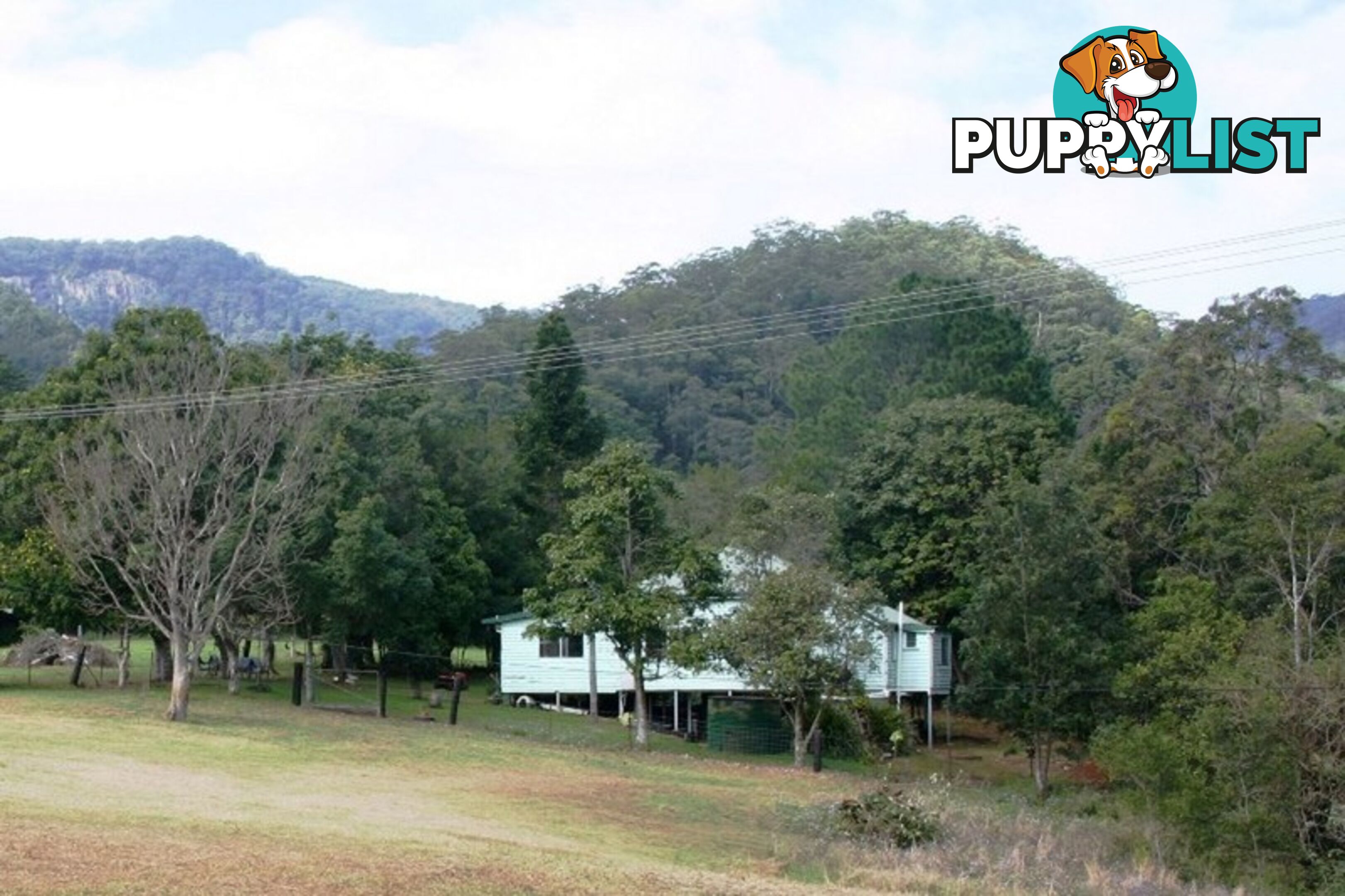 3135 Nerang-Murwillumbah Road NATURAL BRIDGE QLD 4211