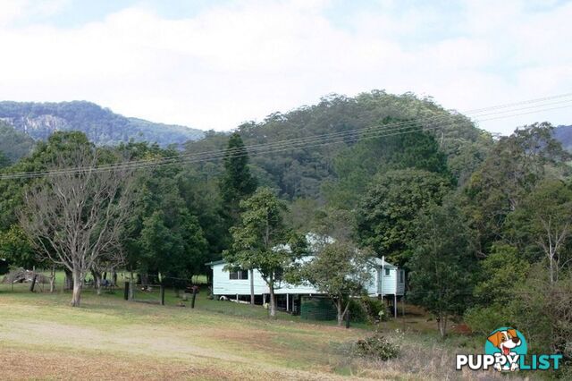 3135 Nerang-Murwillumbah Road NATURAL BRIDGE QLD 4211