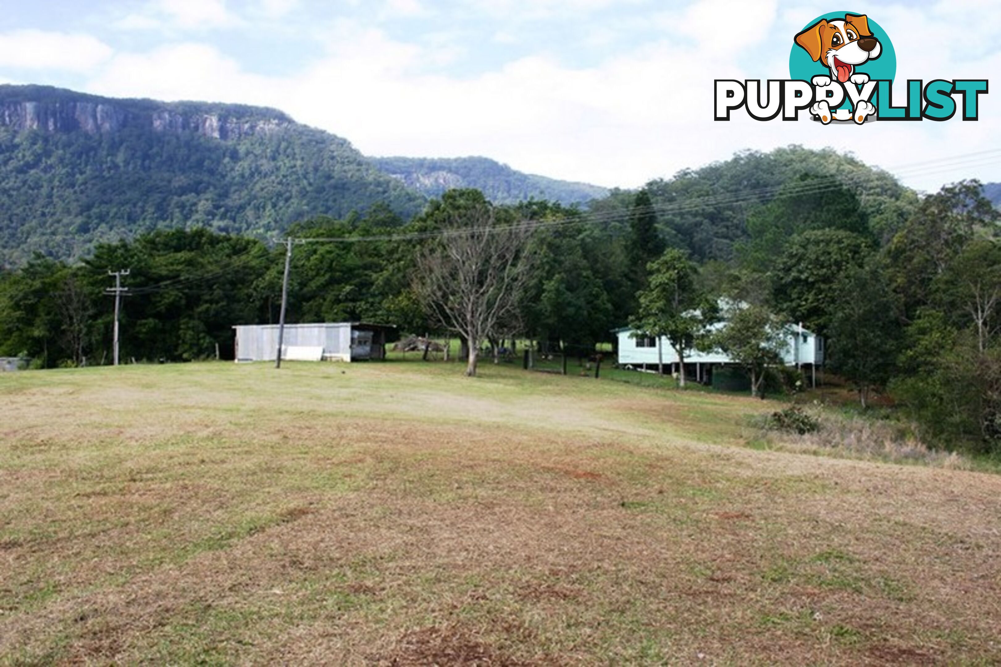 3135 Nerang-Murwillumbah Road NATURAL BRIDGE QLD 4211