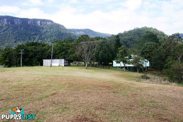 3135 Nerang-Murwillumbah Road NATURAL BRIDGE QLD 4211