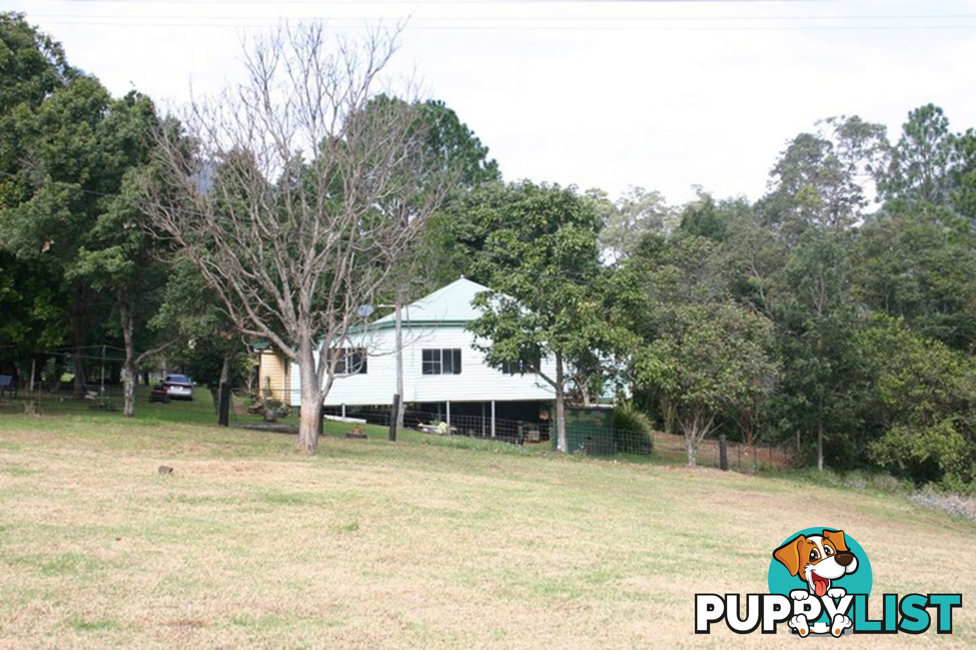 3135 Nerang-Murwillumbah Road NATURAL BRIDGE QLD 4211